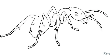 ant Coloring Pages To Print